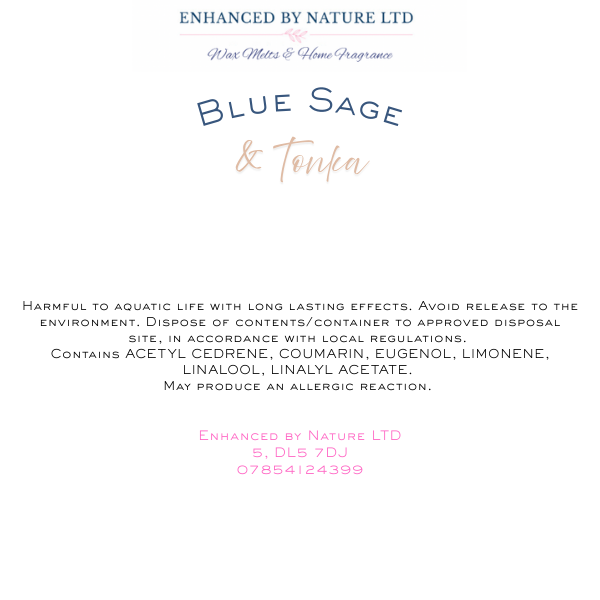 Blue Sage & Tonka - Owl
