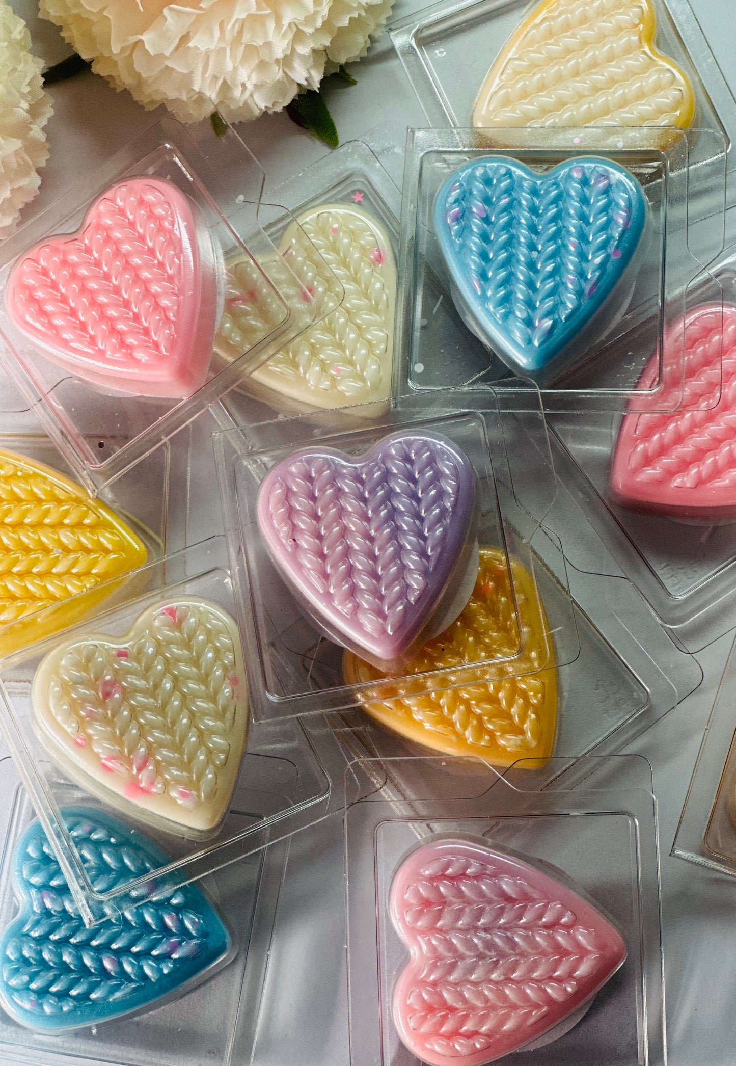 Mini Clam Boxes (pack of 6)