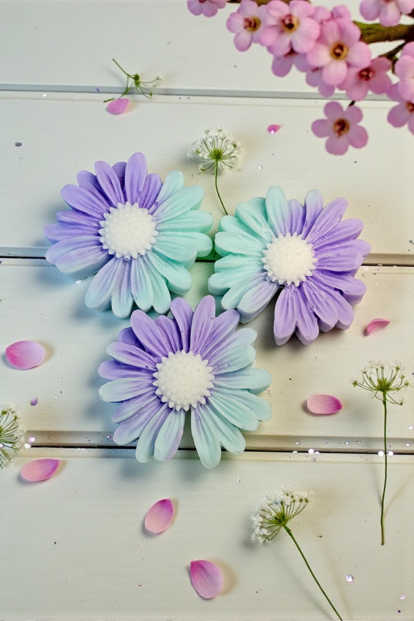 April Showers - Daisy - Enhanced by Nature LTD