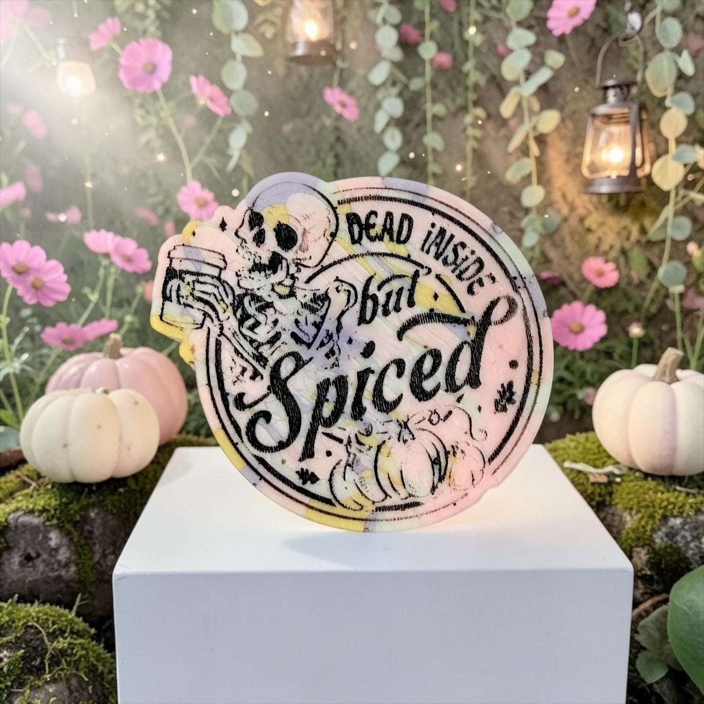 Spiced - In the Stars