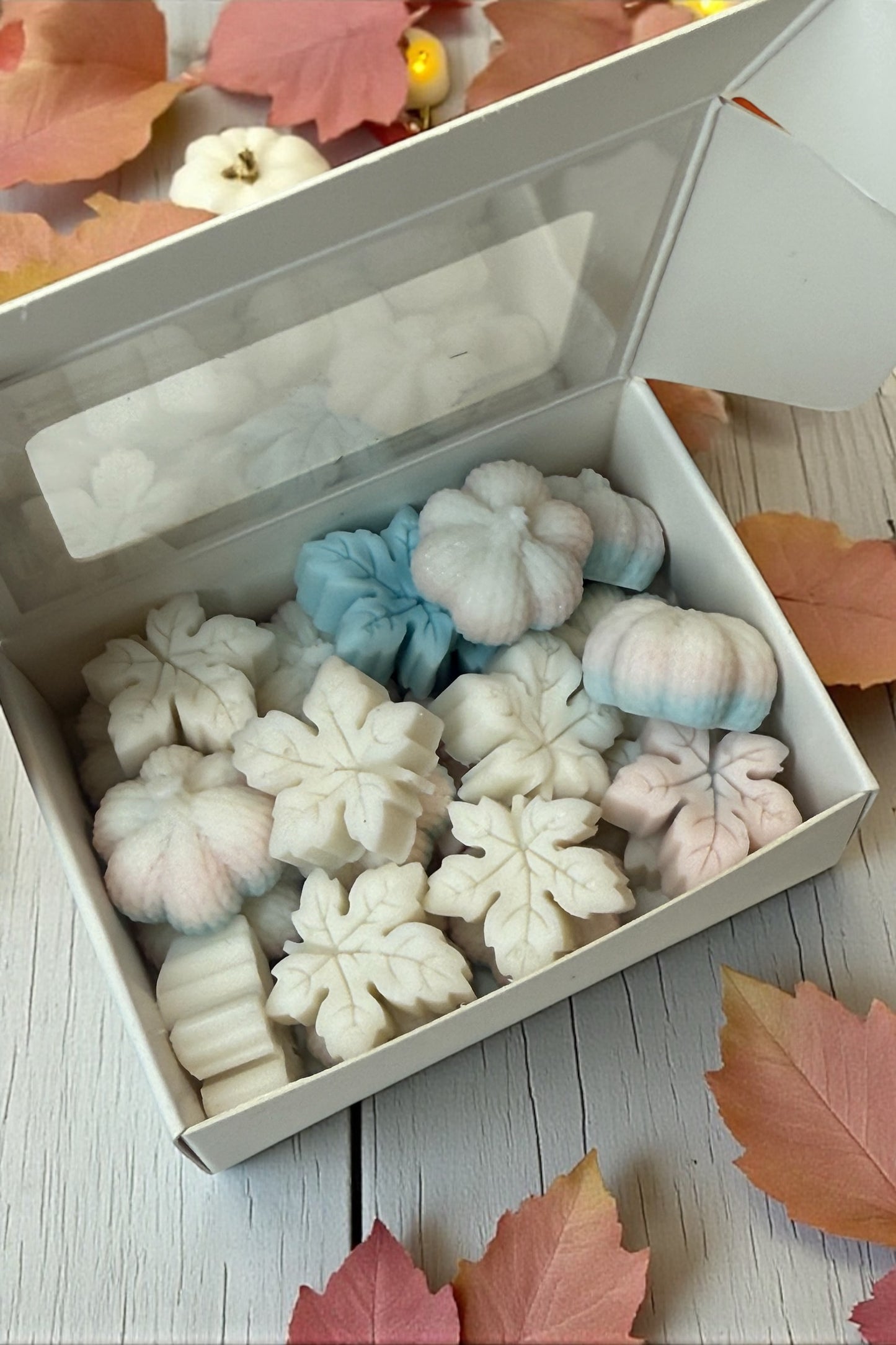 Pumpkin & Leaves - Heaven Scent