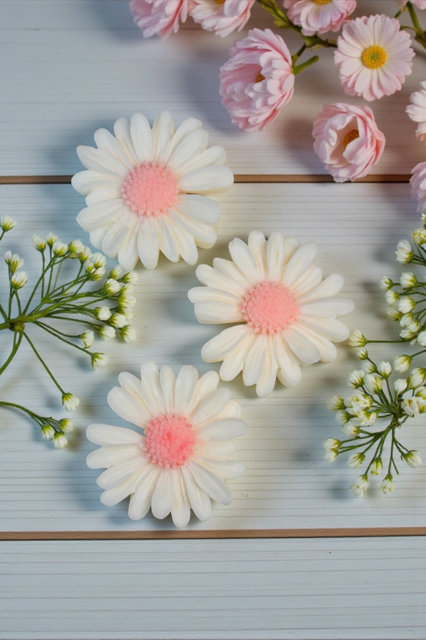 Spring Berry Sparkle - Daisy Trio - Enhanced by Nature LTD