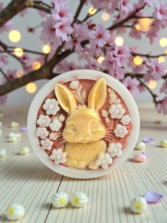 Carrot Cake - Bunny - Enhanced by Nature LTD